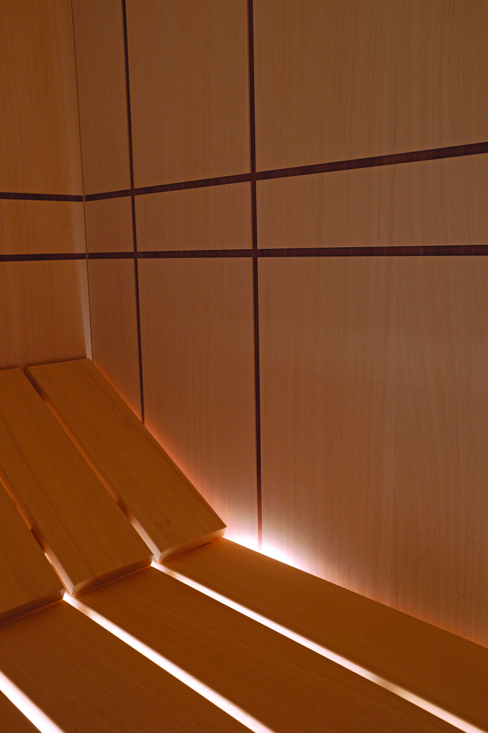 CELSIUS-SAUNA NOVELLINI - FL DIFFUSION